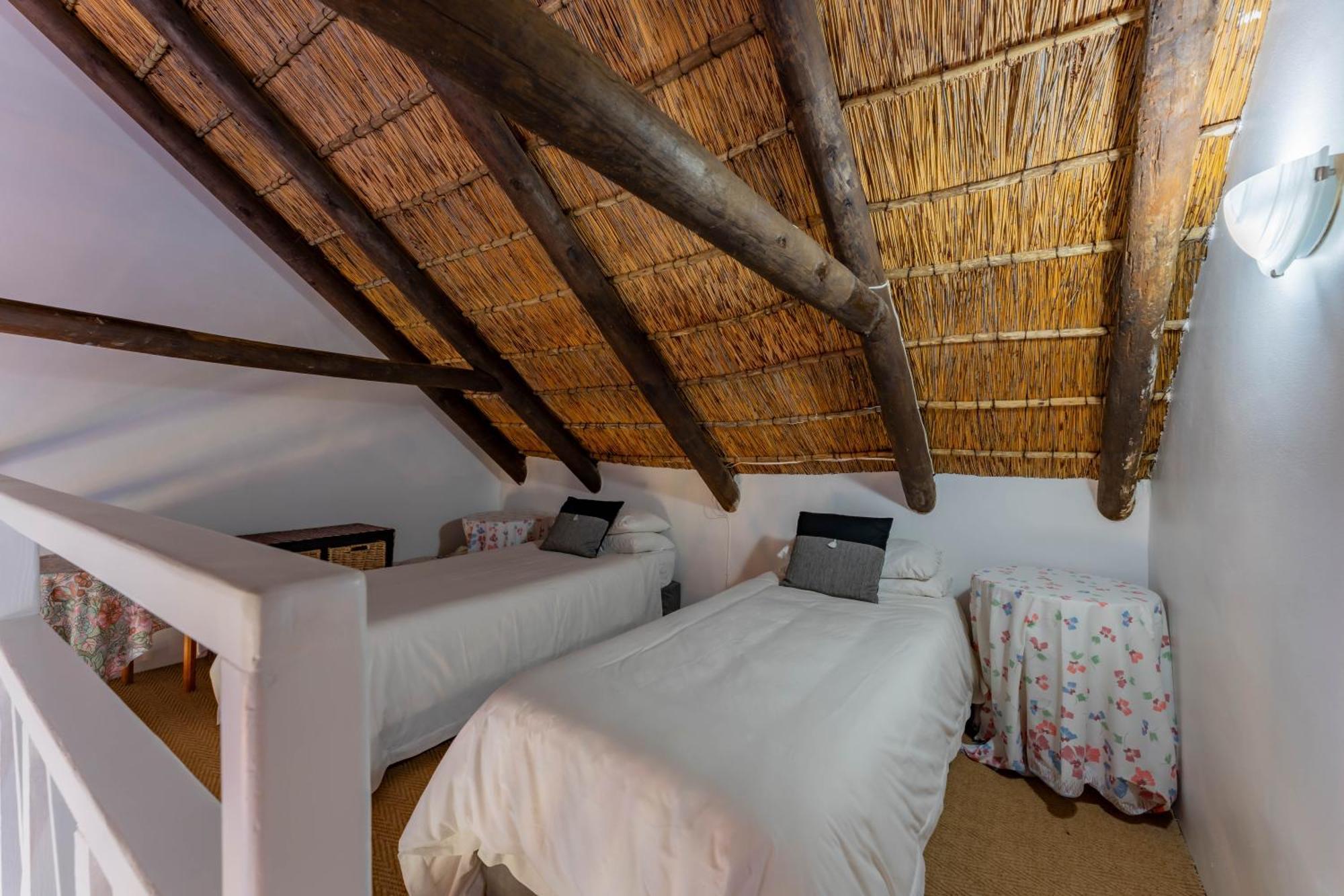 Cycads On Sea Guest House St. Francis Bay Exterior foto